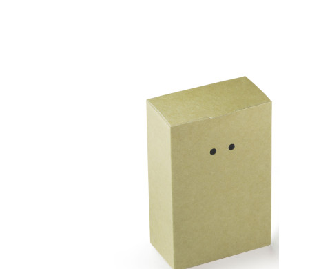 Boîte Cadeau en Carton avec Fermeture Originale