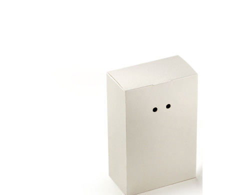 Boîte Cadeau en Carton avec Fermeture Originale