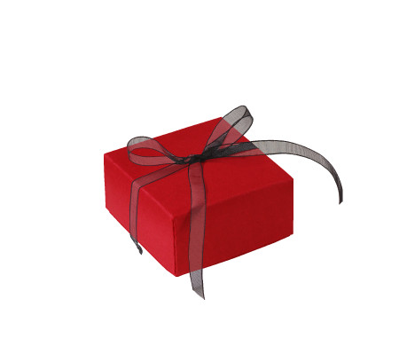 Graziosa Scatola Regalo con Coperchio e Fiocco Decorativo 