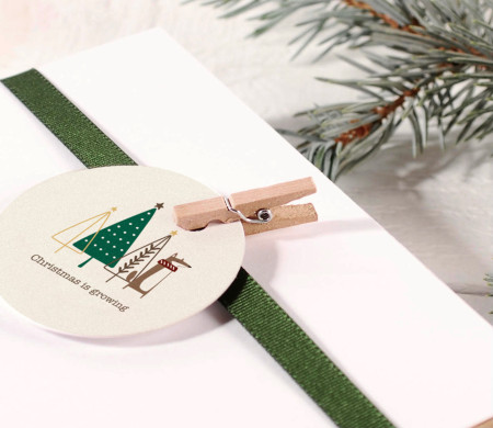 Pinzas de madera mini