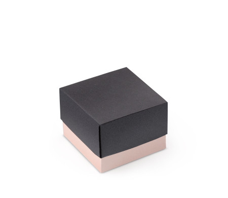 Bonita Caja Regalo con Tapa y Lazo Decorativo