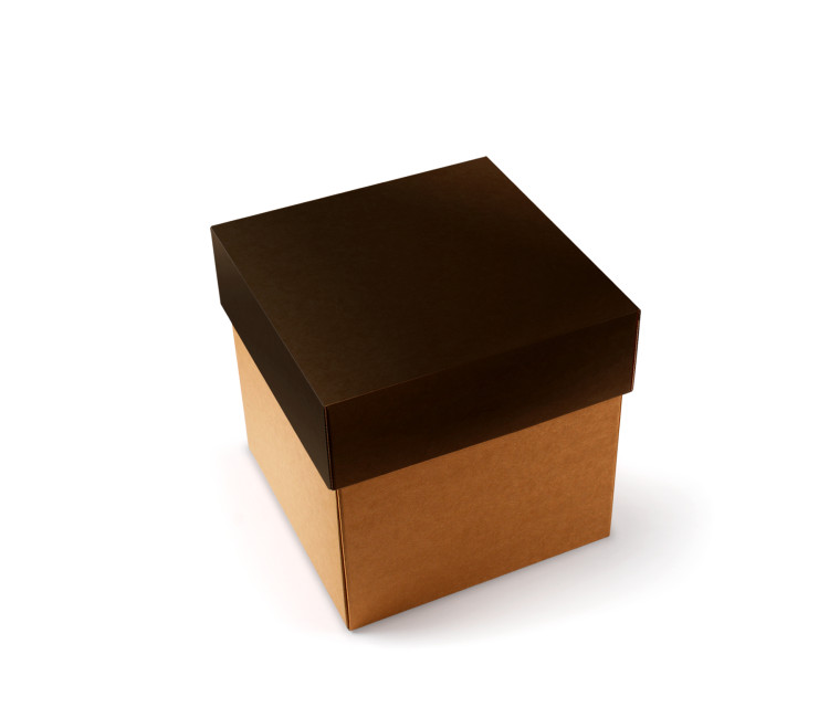 Caja para Envíos con Tapa Independiente Caja para Envíos con Tapa Independiente