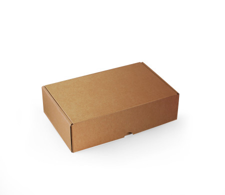 Caja Rectangular Pequeña Automontable | SelfPackaging