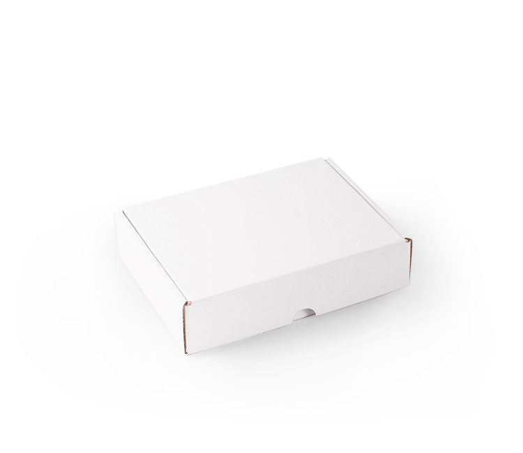 Caja Rectangular Pequeña Automontable | SelfPackaging
