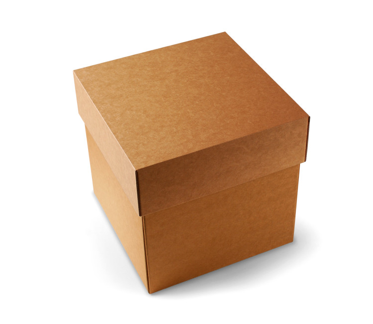 Versandkarton Mit Deckel - SelfPackaging