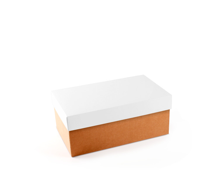 Cardboard Shoeboxes | SelfPackaging.
