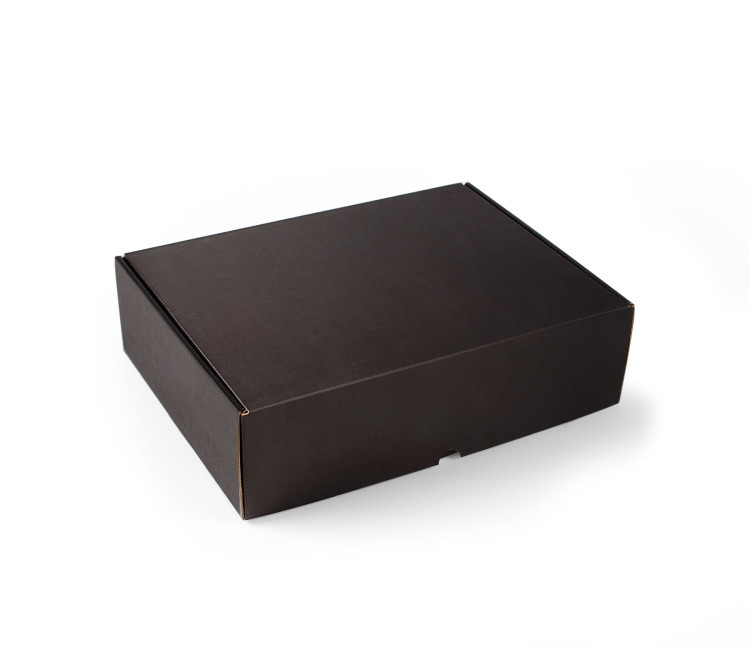 Caja Rectangular Pequeña Automontable | SelfPackaging