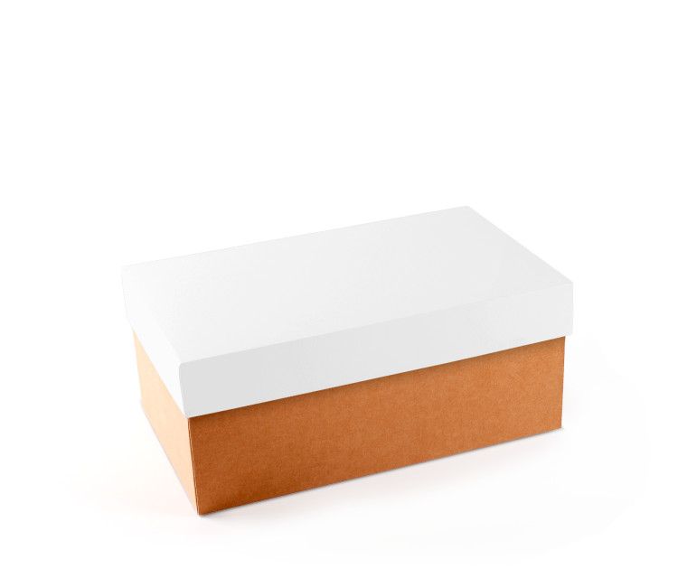 Cardboard Shoeboxes | SelfPackaging.
