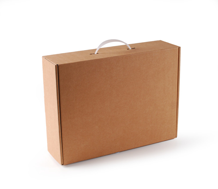 Papp Koffer Mit Tragegriff - SelfPackaging