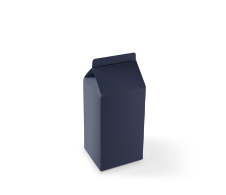 Caja Regalo en Forma de Tetrabrik