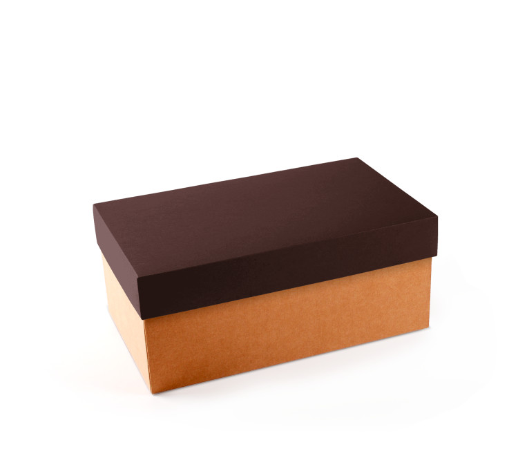 Boîte à chaussures en carton | 3 tailles pour boutiques