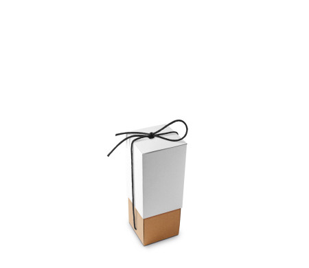 Cardboard Box for Bottles Ideal for Gifts
