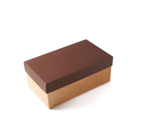 Caja para Zapatos ¡Organiza tu Calzado!