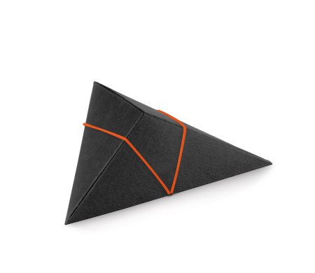 Shop Triangular Cardboard Box | SelfPackaging