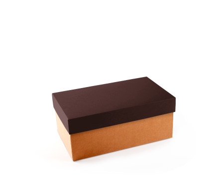 Cardboard Shoeboxes | SelfPackaging.