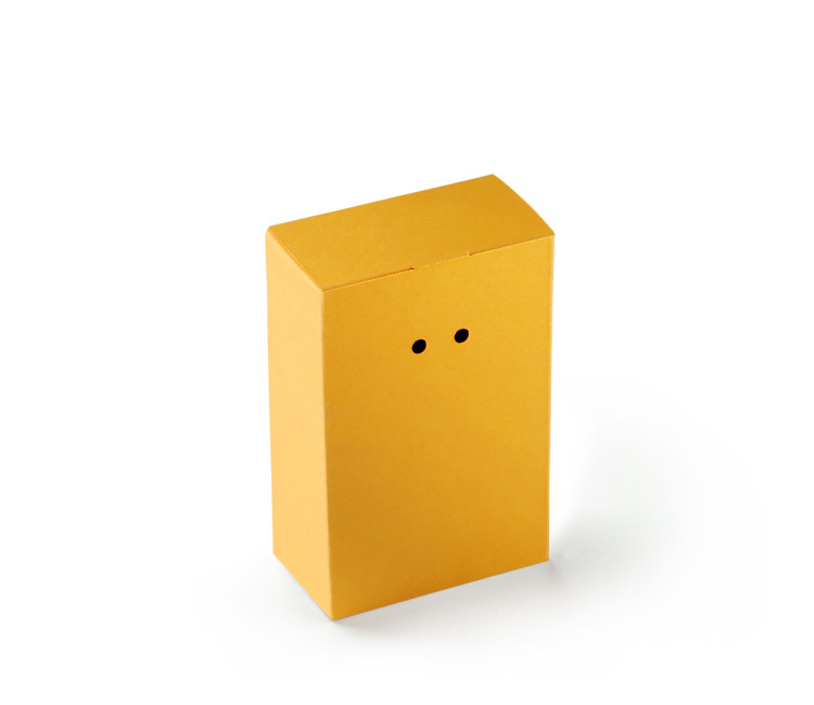 Cardboard Gift Box with a Very Original Fastener