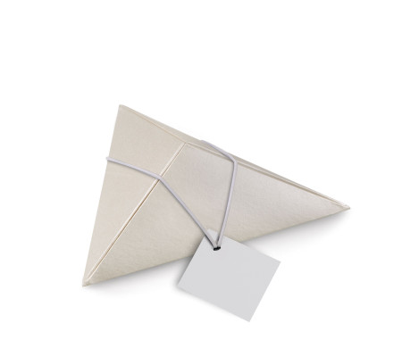 Dreieckige Pappschachtel | SP DE