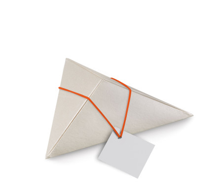 Dreieckige Pappschachtel | SP DE