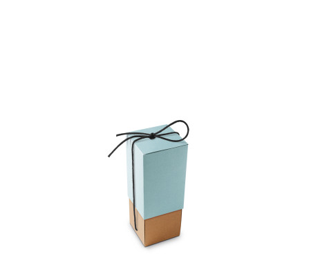 Cardboard Box for Bottles Ideal for Gifts