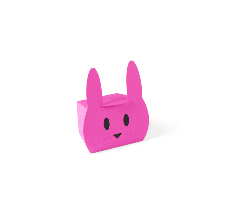 Cardboard Box Shaped like a Sweet Bunny