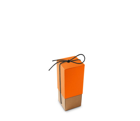 Cardboard Box for Bottles Ideal for Gifts