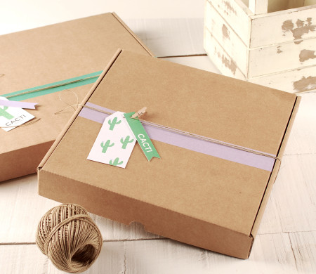 Caja de envío kraft mediana | Packaging ecommerce