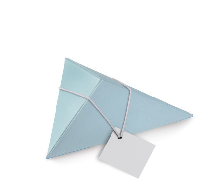 Shop Triangular Cardboard Box | SelfPackaging