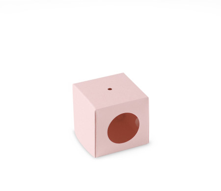 Scatola Singola per Cake Pop