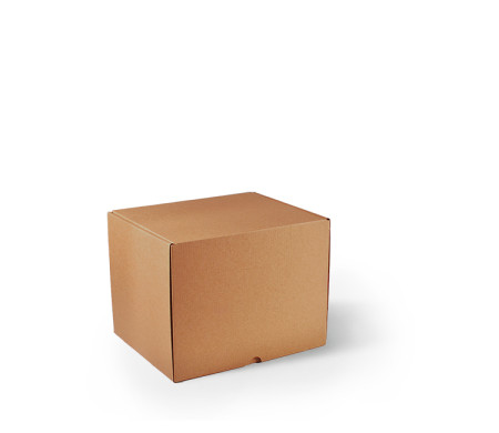 Tall Self-Assembly Shipping Box | E-commerce & Brands