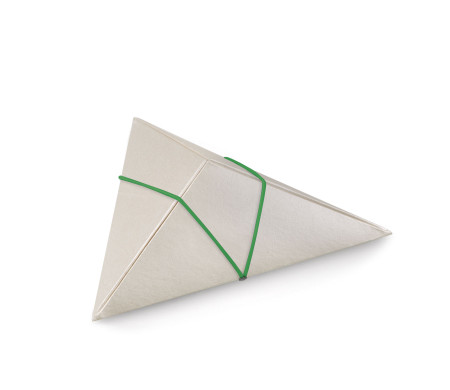 Shop Triangular Cardboard Box | SelfPackaging