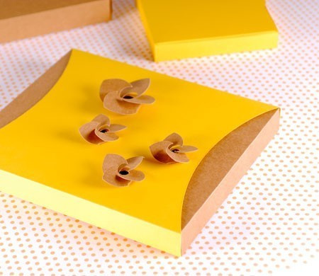 Little box with cardboard strip for clothes Little box with cardboard strip for clothes