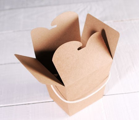 Brown kraft noodle box 
