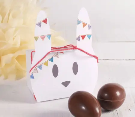Cute bunny box for Easter