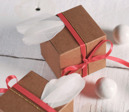 Petite Boîte Cadeau Carrée avec Plumes Petite Boîte Cadeau Carrée avec Plumes
