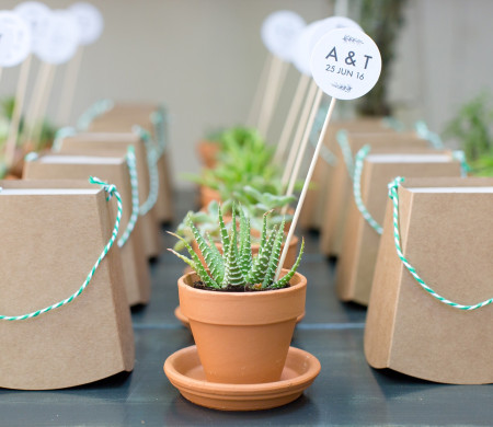 Original Wedding Favor Small Planters | SelfPackaging