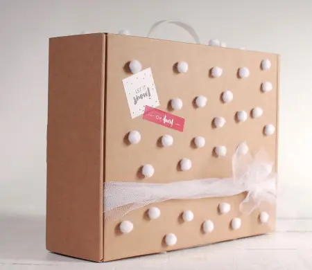 Carrycase for gifts