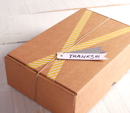 Yellow striped kraft case