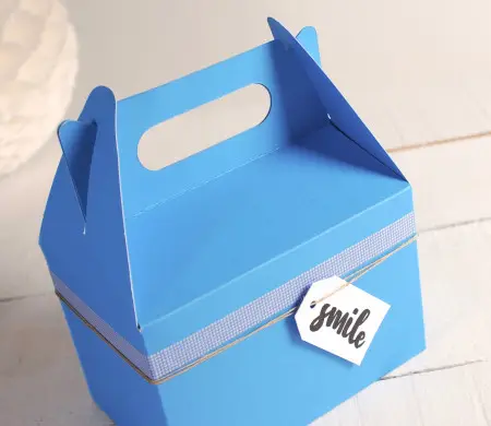 Caja picnic azul a cuadros