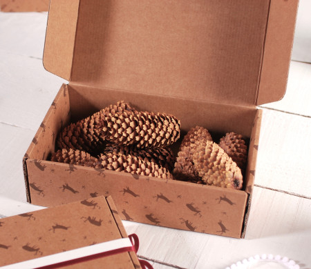 Box with Reindeer for Shipping, Ideal for Shops!