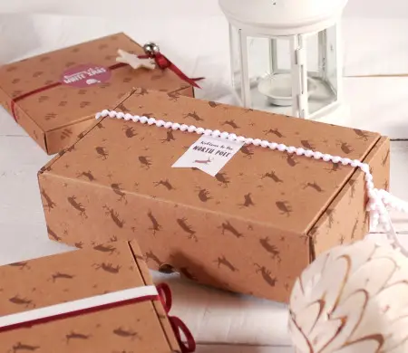 Christmas shipping box for ecommerce | Retail