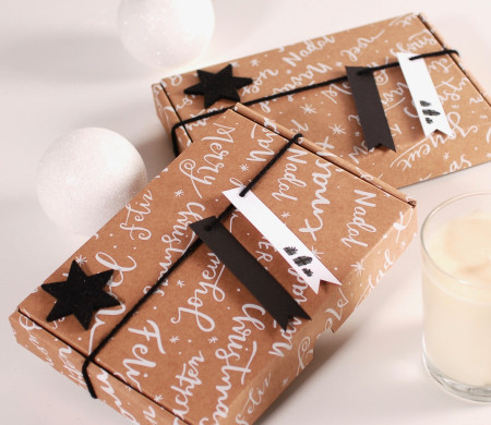 Christmas postal mailing box