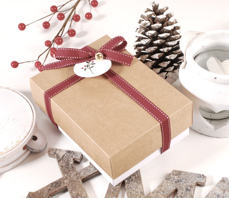 Scatola di cartone di Natale