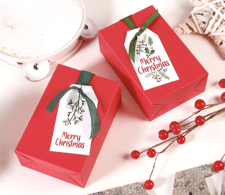 Scatola regalo di Natale con nastro