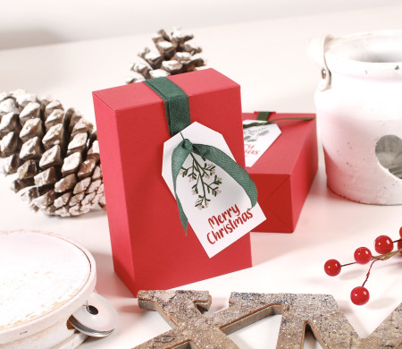 Christmas gift box with ribbon