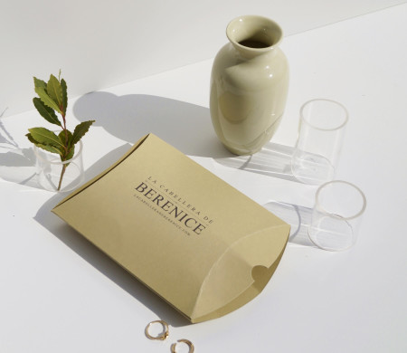 Elegant jewellery case