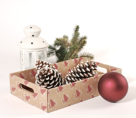 Christmas Cardboard Tray for gift packaging