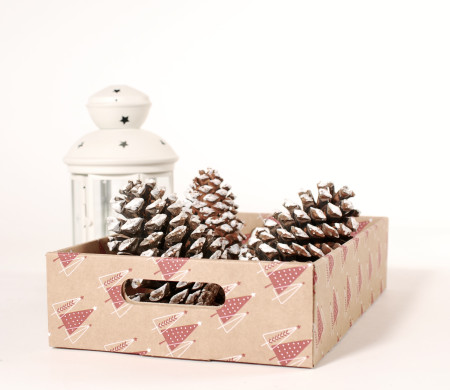 Christmas Cardboard Tray for gift packaging