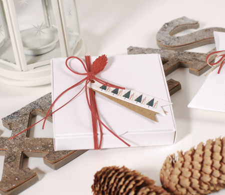 Packaging navideño para joyas Packaging navideño para joyas