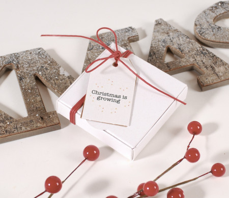 Boîte de Noël blanche économique
