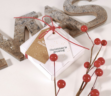 Billige Schachtel Mit Weihnachtsdekor... | SelfPackaging
